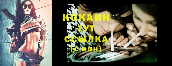 крисы Арсеньев