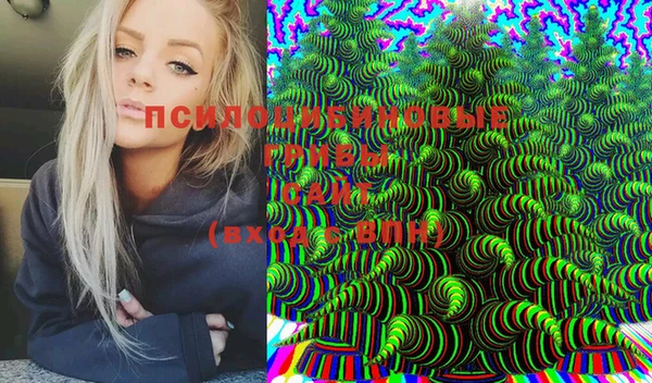 MESCALINE Аркадак
