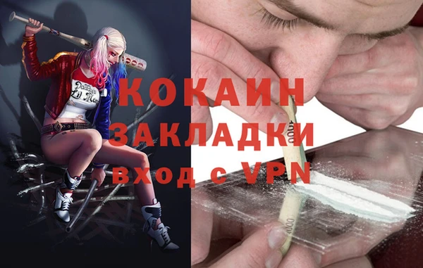 крисы Арсеньев